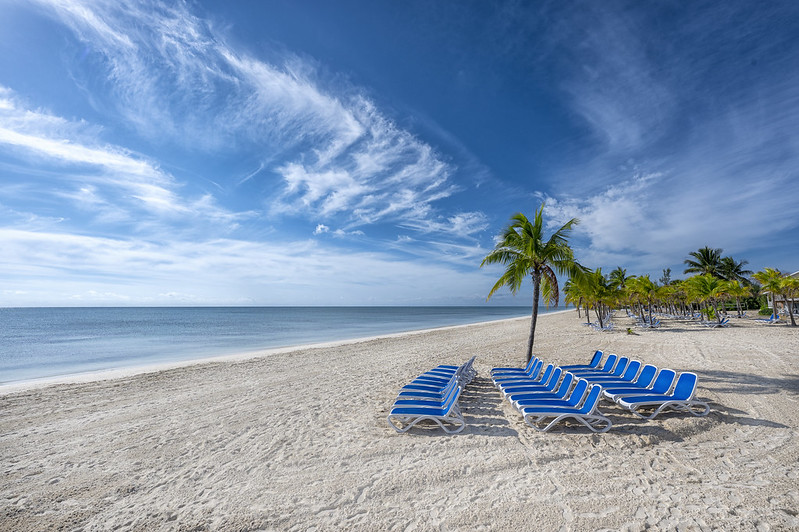 51842923473_0f2b5823ba_c