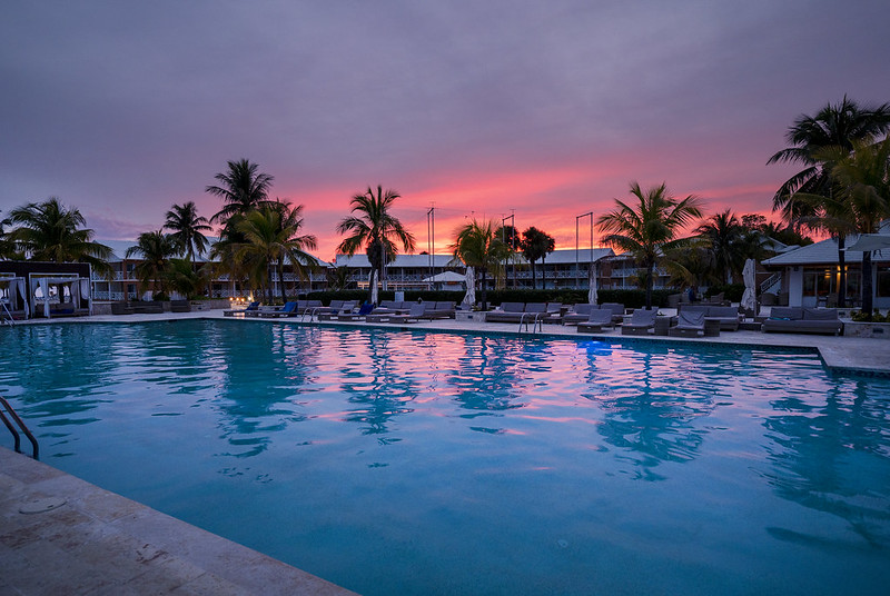 51842931993_313556f19c_c